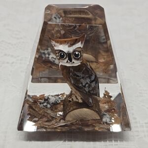 Vintage Handcarved Wooden Great Horned Owl Lucite Paperweight By Unique Canada
